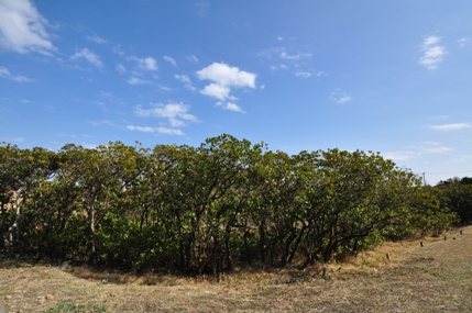 20110222-1